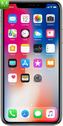 Apple iPhone X