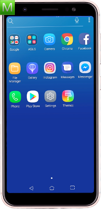 Asus ZenFone Max M1 ZB556KL
