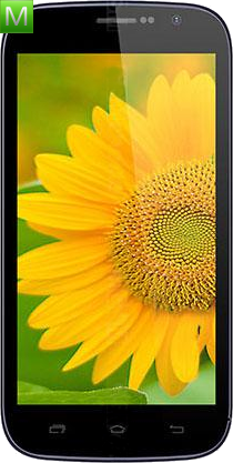 Doogee Discovery DG500C