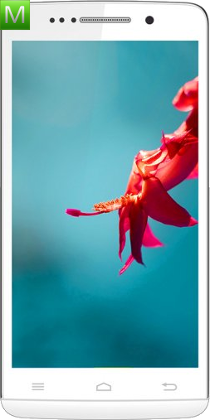 Doogee Find DG510
