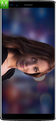 Doogee Mix 2