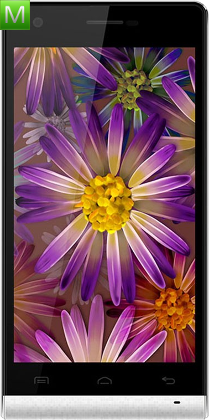 Doogee Pixels DG350