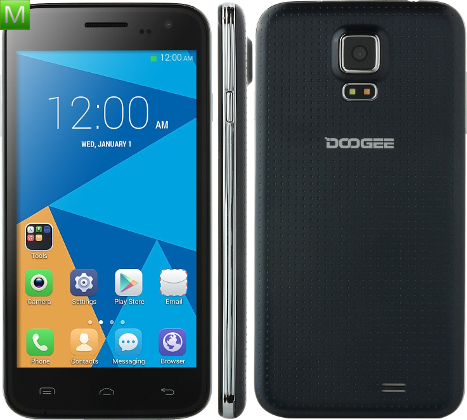 Doogee Voyager2 DG310