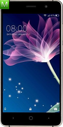 Doogee X10S