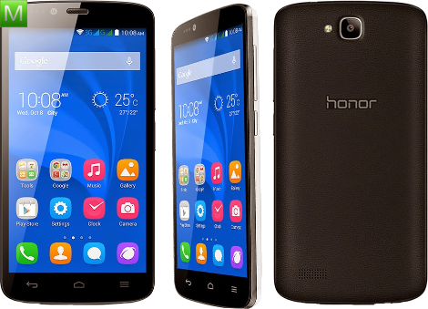 Honor Holly