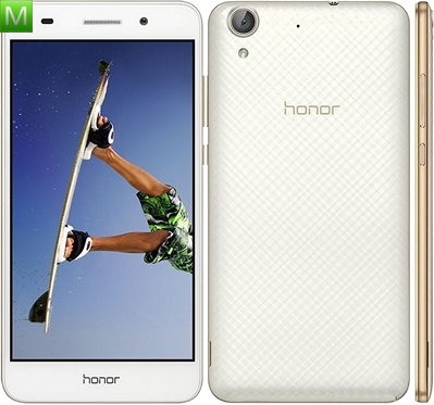 Honor Holly 3