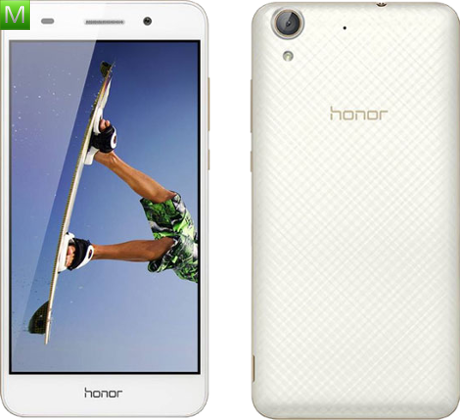 Honor Holly 3+