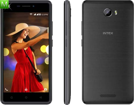 Intex Aqua Lions 3