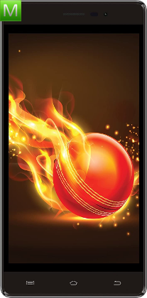 Intex Aqua Lions 3G