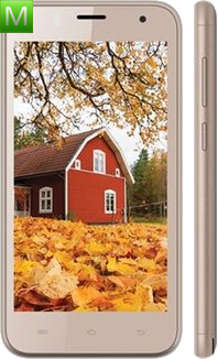 Intex cloud Champ