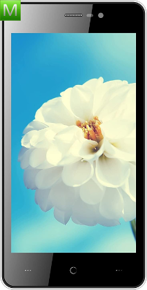Intex cloud Zest