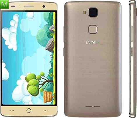 Intex Elyt-e1