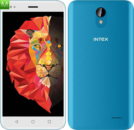 Intex Lions 6