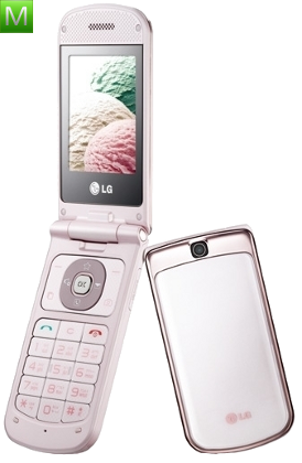 LG GD310