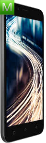 Micromax Canvas Pace 4G