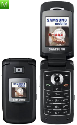 Samsung E480