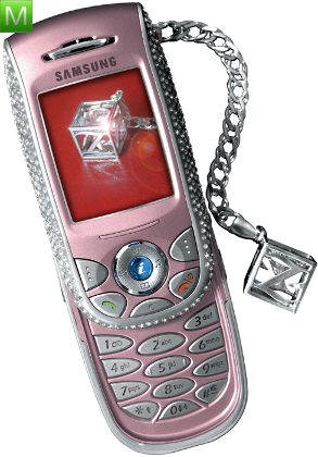 Samsung E800 zien