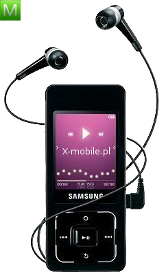 Samsung F308