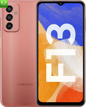 Samsung Galaxy F13