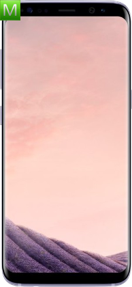 Samsung Galaxy S8 SM-G9500