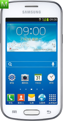 Samsung Galaxy Trend i699i