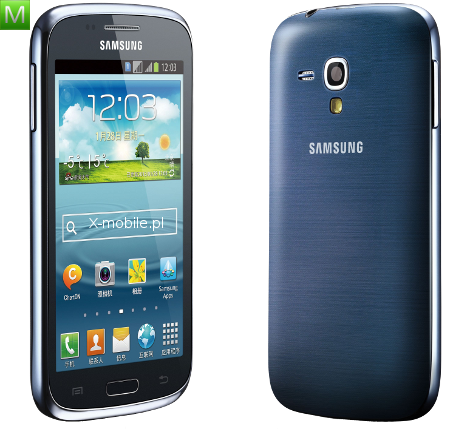 Samsung i8262D