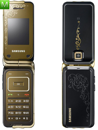 Samsung L310