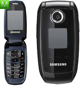 Samsung S501i