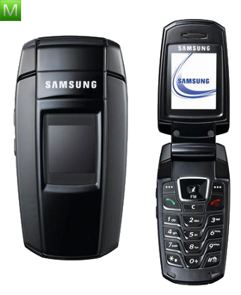 Samsung X300