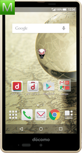 Sharp Aquos Ever SH-04G