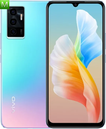 Vivo S10e