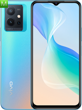Vivo T1 V2141
