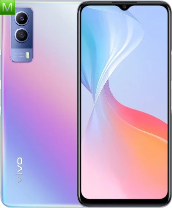 Vivo T1x 5G