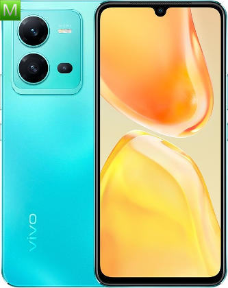 Vivo V25 5G