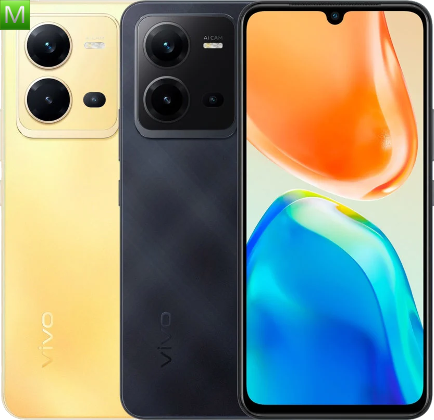 Vivo V25e