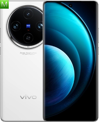 Vivo X100
