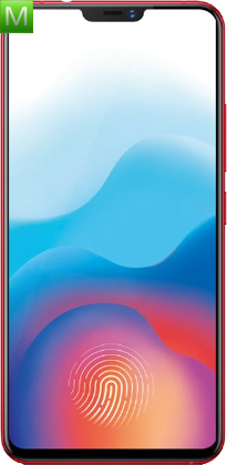 Vivo X21