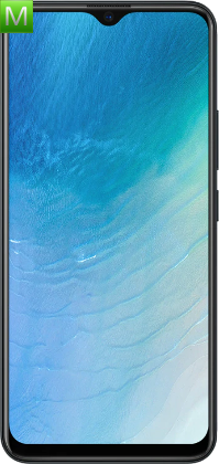 Vivo Y19