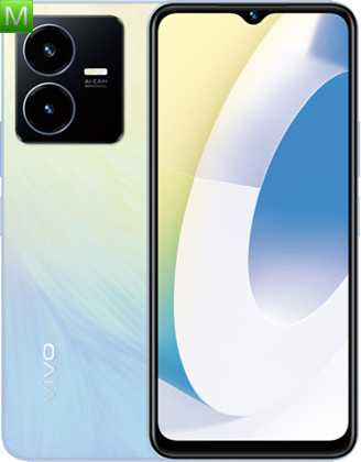 Vivo Y22 2022