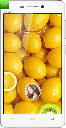 Vivo Y29L