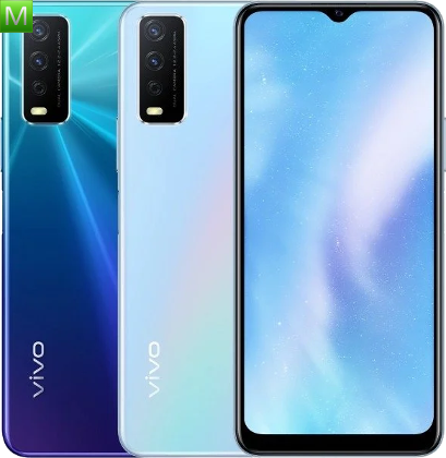 Vivo Y30 Standard Edition