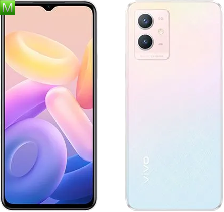Vivo Y33s V2166A