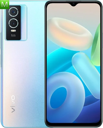 Vivo Y74s