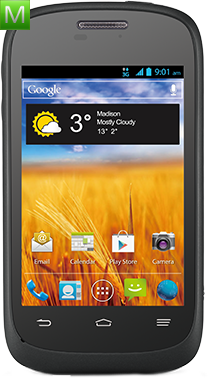 ZTE Director