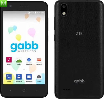 ZTE Gabb Z1