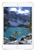 Apple iPad mini 4 WiFi