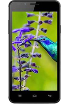 Intex Aqua Lions E3