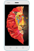 Intex Lions 6