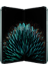Oppo Find N2